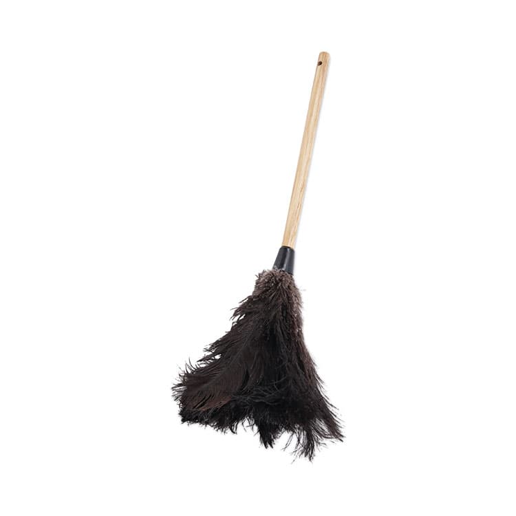 BOARDWALK Professional Ostrich Feather Duster, 10" Wood Handle (BWK20BK)