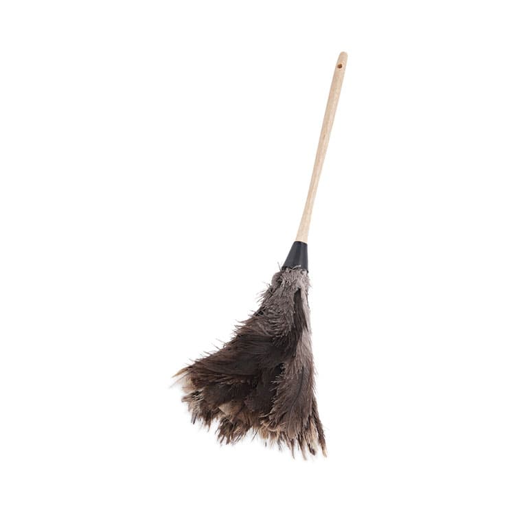 BOARDWALK Professional Ostrich Feather Duster, 13" Wood Handle (BWK23FD)