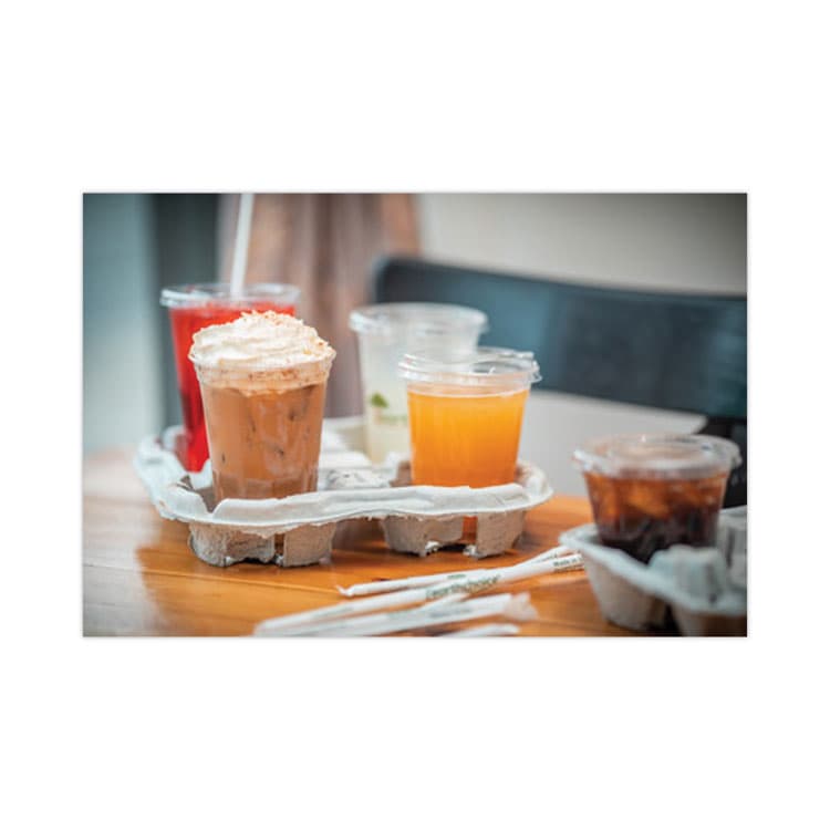 PACTIV EVERGREEN CORPORATION EarthChoice Carry-Safe Beverage Carrier, 8 oz to 46 oz, Four Cups, Natural, 132/Carton (PCTM5135040001) thumbnail 3