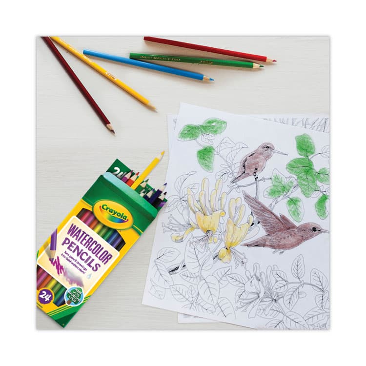 BINNEY & SMITH / CRAYOLA Watercolor Pencil Set, 3.3 mm, 2B, Assorted Lead and Barrel Colors, 24/Pack (CYO684304) thumbnail 3