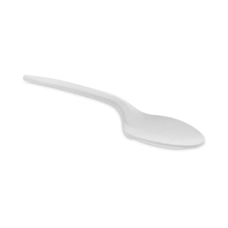 PACTIV EVERGREEN CORPORATION Fieldware Cutlery, Mediumweight Spoon, Plastic, White, 1,000/Carton (PCTYFWSWCH)