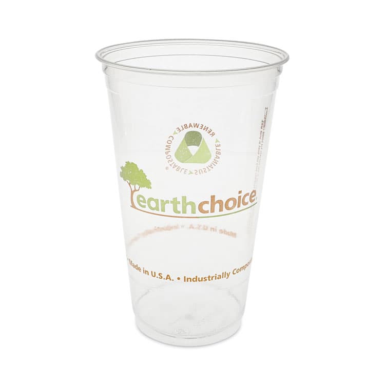 PACTIV EVERGREEN CORPORATION EarthChoice Compostable Cold Cup, 24 oz, Plastic, Clear/Printed, 580/Carton (PCTYPLA24CEC)