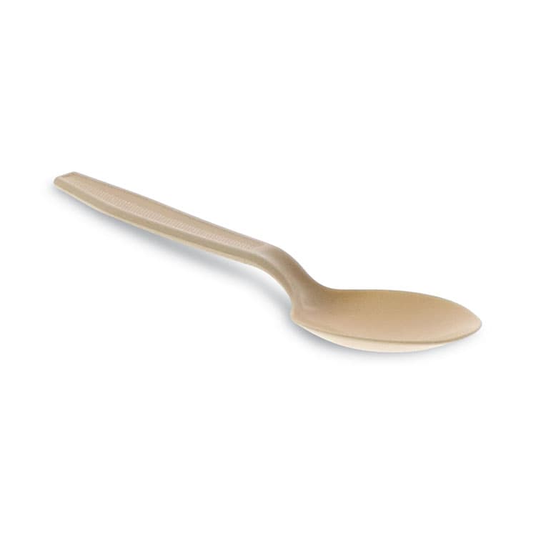 PACTIV EVERGREEN CORPORATION EarthChoice PSM Cutlery, Heavyweight Spoon, Plastic, Tan, 1,000/Carton (PCTYPSMSTEC)