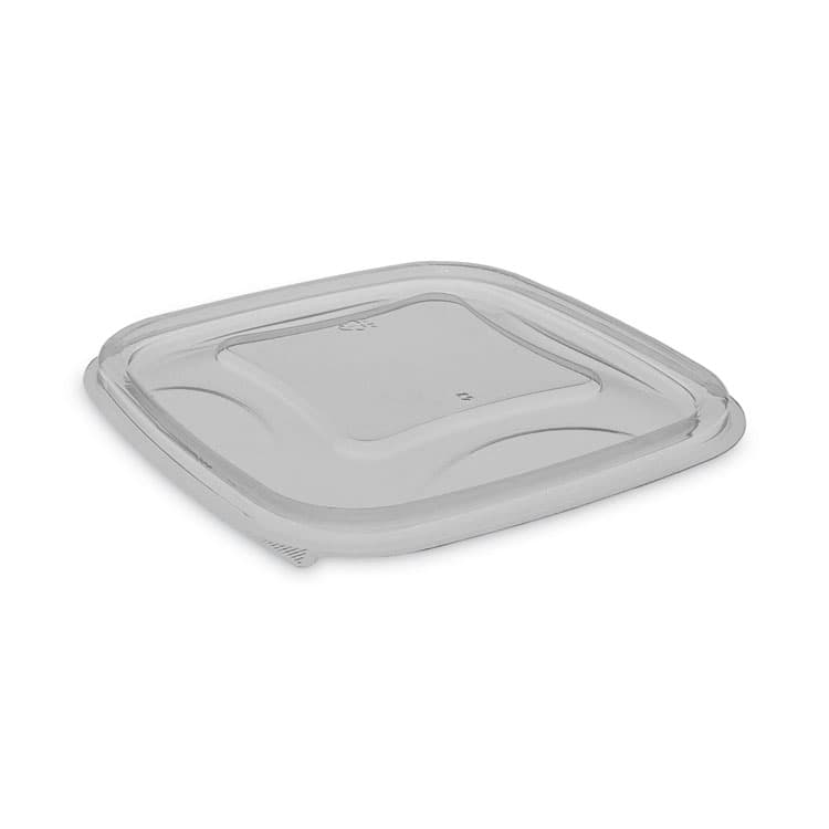 PACTIV EVERGREEN CORPORATION EarthChoice Square Recycled Bowl Flat Lid, 5.5 x 5.5 x 0.75, Clear, Plastic, 504/Carton (PCTYSACLF05)