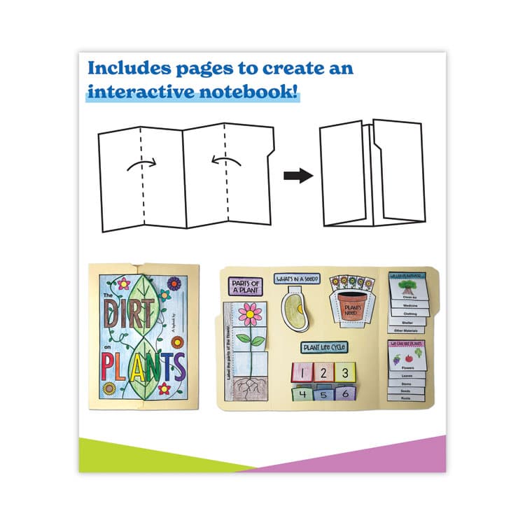 CARSON-DELLOSA EDUCATION In a Flash USB, Plants, Grades K to 3, 191 Pages (CDP109565) thumbnail 3