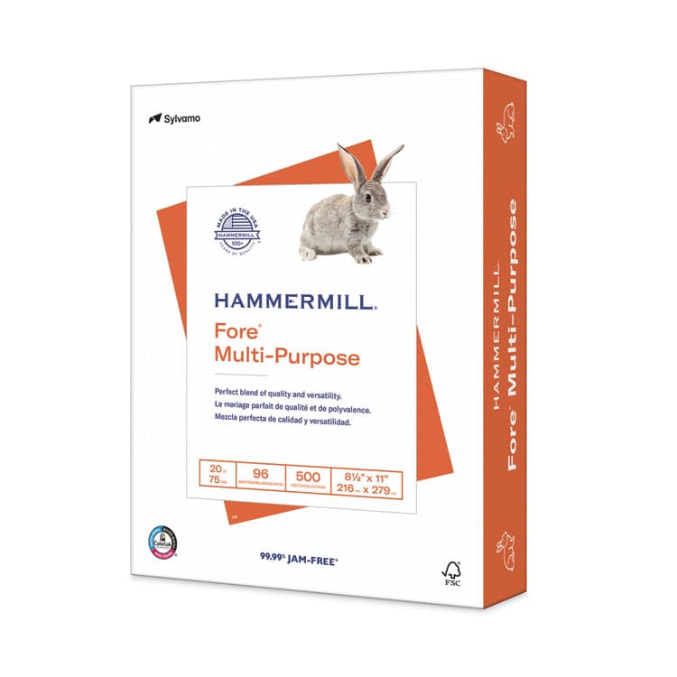HAMMERMILL/HP EVERYDAY PAPERS Fore Multipurpose Print Paper, 96 Bright, 20 lb Bond Weight, 8.5 x 11, White, 500 Sheets/Ream (HAM103267RM)