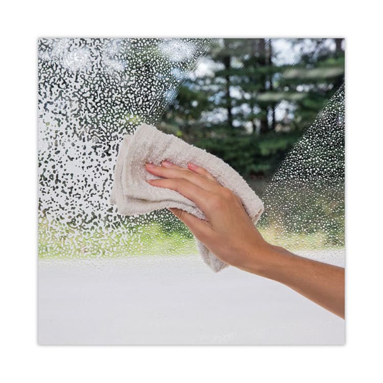 WEIMAN Foaming Glass Cleaner, 19 oz Aerosol Spray Can (WMN10) thumbnail 4