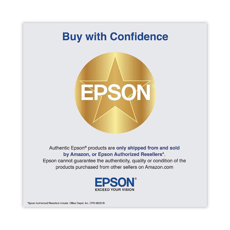 EPSON AMERICA, . T252120D2 (T252) DURABrite Ultra Ink, 350 Page-Yield, Black, 2/Pack (EPST252120D2) thumbnail 4