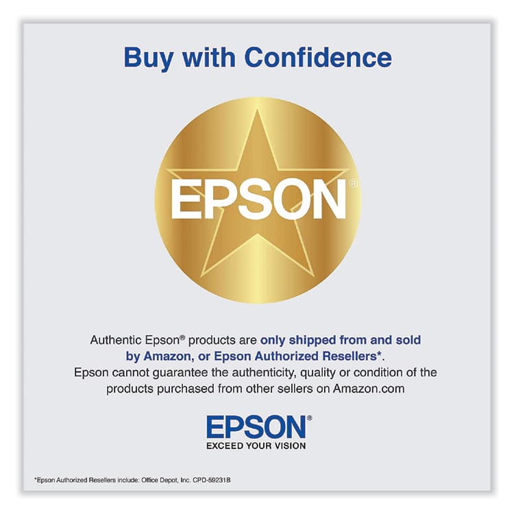 EPSON AMERICA, . T49AE20 (T49A) UltraChrome PRO6 High-Yield Ink, 110 mL, Gray (EPST49AE20) thumbnail 2
