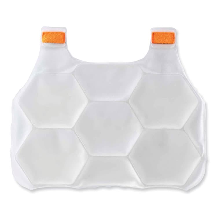 ERGODYNE CORPORATION Chill-Its 6220 Phase Change Cooling Vest Charge Packs, Small/Medium, 16.25 x 12, 2/Pack (EGO12201)