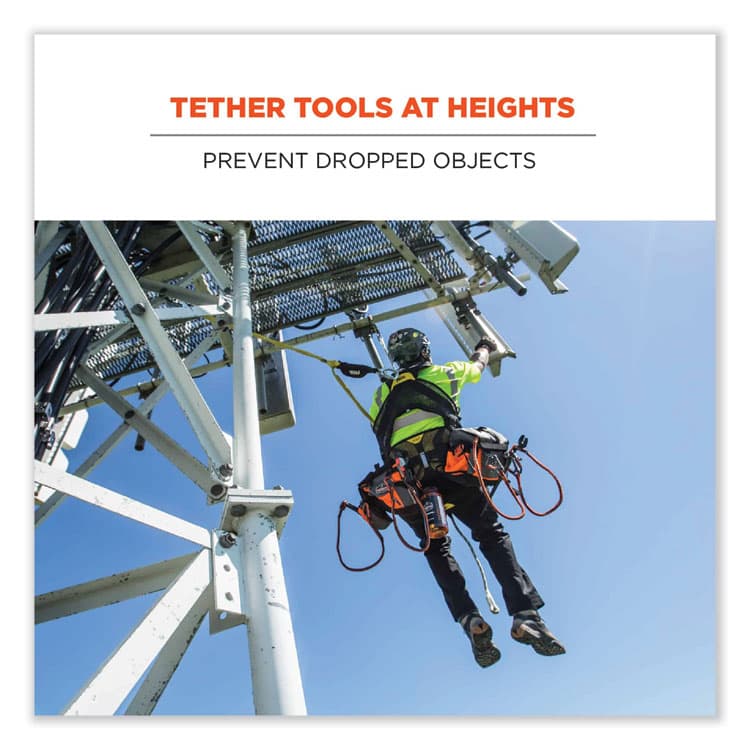 ERGODYNE CORPORATION Squids 3101F(x) Tool Lanyard with Stainless-Steel Carabiner + Loop, 15 lb Max Working Capacity, 38" to 48" Long (EGO19803) thumbnail 2