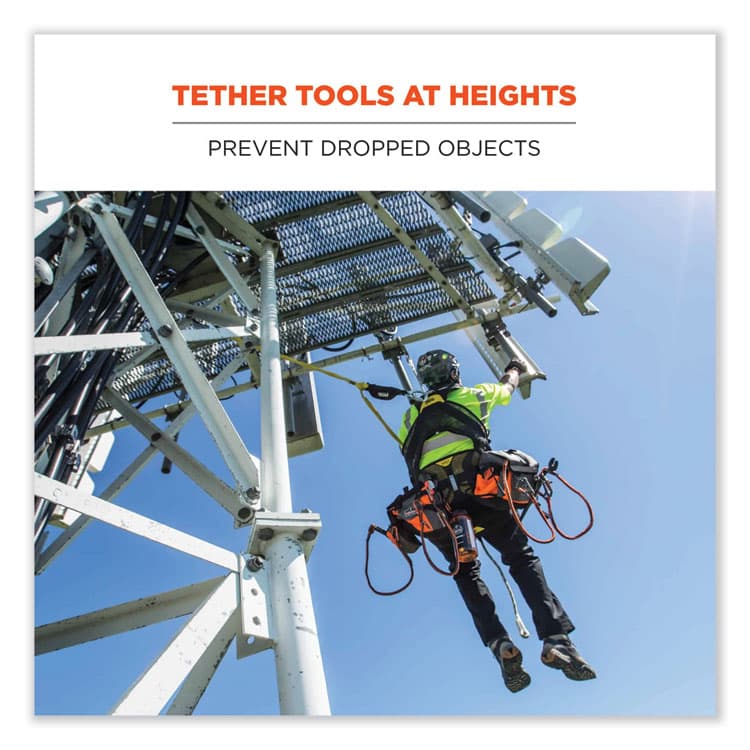 ERGODYNE CORPORATION Squids 3100 Lanyard with Aluminum Carabiner + Cinch-Loop, 10 lb Max Working Capacity, 35" to 45" Long, Lime (EGO19003) thumbnail 3