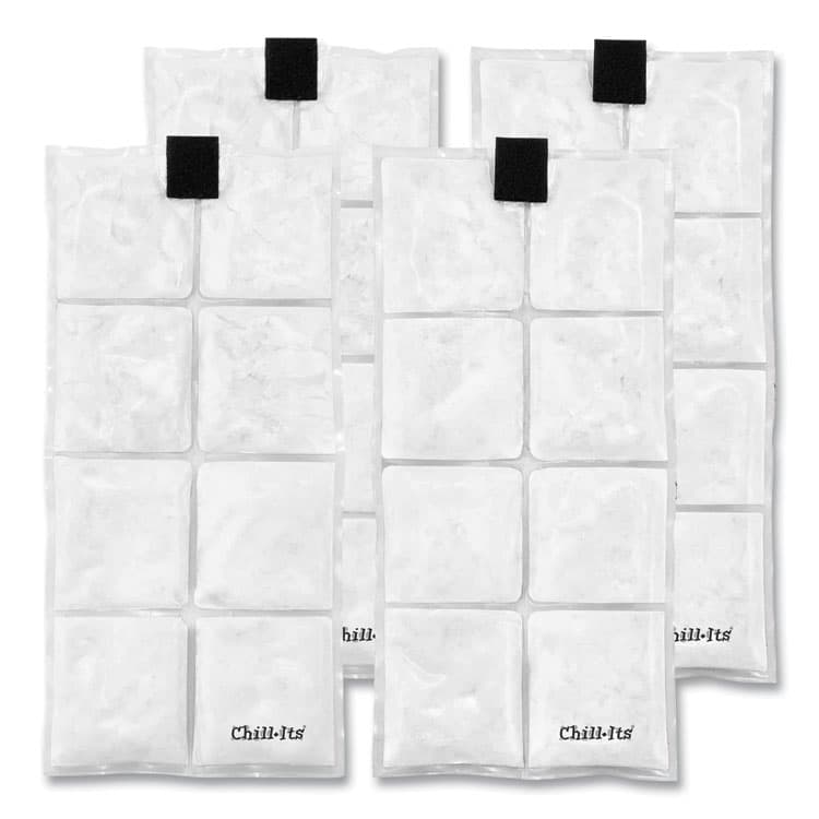 ERGODYNE CORPORATION Chill-Its 6250 Lightweight Phase Change Cooling Packs, 6 x 13, 4/Pack (EGO12120)