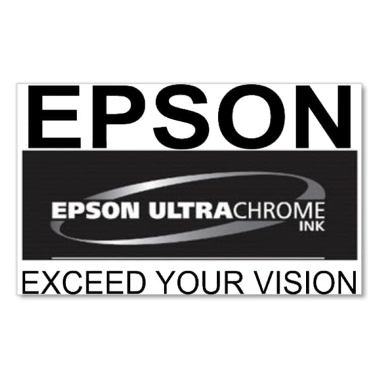 EPSON AMERICA, . T53KA20 (T53K) UltraChrome DS Ink, Orange, 2/Pack (EPST53KA20) thumbnail 3