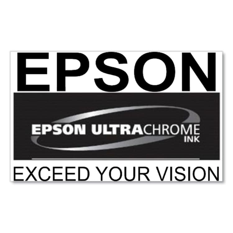 EPSON AMERICA, . T53K820 (T53K) UltraChrome DS Ink, Fluorescent Pink, 2/Pack (EPST53K820) thumbnail 4