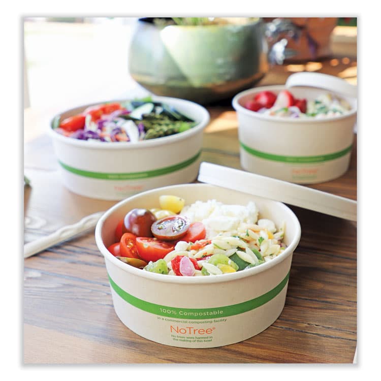 WORLD CENTRIC No Tree Wide Paper Bowls, 24 oz, 5.9" Diameter x 2.4" h, Natural, Sugarcane, 300/Carton (WORBONT24W) thumbnail 2