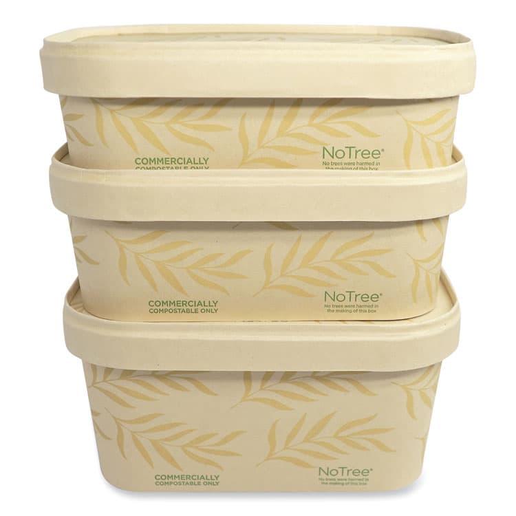 WORLD CENTRIC No Tree Rectangular Containers, 16 oz, 4.7 x 6.8 x 1.6, Natural, Sugarcane, 300/Carton (WORCTNT16) thumbnail 4