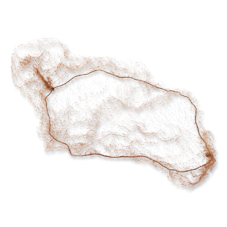 AMERCAREROYAL Lightweight Latex-Free Hairnets, Nylon, 24", Light Brown, 144/Box, 20 Boxes/Carton (RPPRPH144LTLB) thumbnail 2