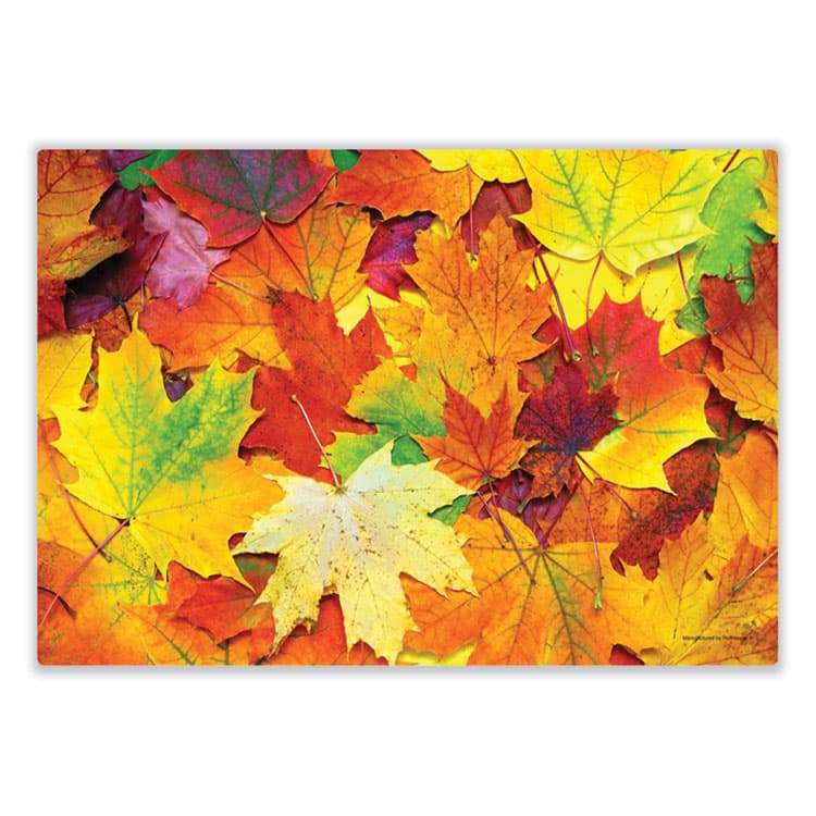 HOFFMASTER Placemats, Three Autumn Days Photo Designs, Smooth Surface, Straight Edges, 14" x 10", Multicolor, 1,000/Carton (HFM702081) thumbnail 2