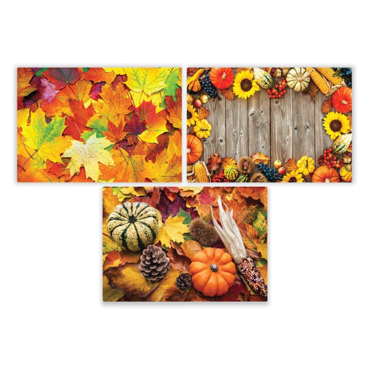HOFFMASTER Placemats, Three Autumn Days Photo Designs, Smooth Surface, Straight Edges, 14" x 10", Multicolor, 1,000/Carton (HFM702081)