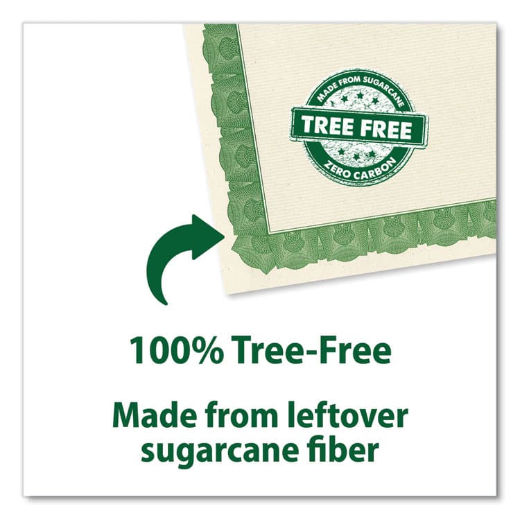 GEOGRAPHICS Award Certificates, 8.5 x 11, Natural with Green Braided Border, 15/Pack (GEO49016) thumbnail 3