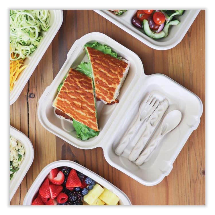 WORLD CENTRIC Fiber Hinged Takeout Containers, Hoagie Box, 9.2 x 6.4 x 3.1, Natural, Paper, 500/Carton (WORTOSCUHBLFP) thumbnail 2