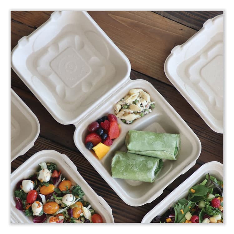 WORLD CENTRIC Fiber Hinged Takeout Containers, 3 Compartments, 8.8 x 8.2 x 2.9, Natural, Paper, 300/Carton (WORTOSCU8TLFP) thumbnail 2