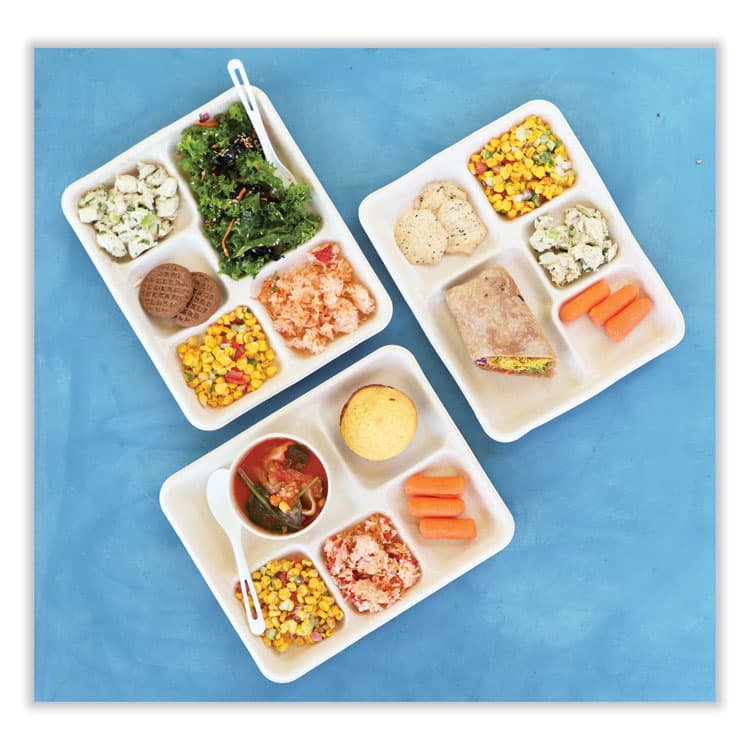 WORLD CENTRIC Fiber Foodservice Trays, 5 Compartments, 8.5 x 10.24 x 1.01, Natural, Paper, 400/Carton (WORTRSC5CLFS) thumbnail 2