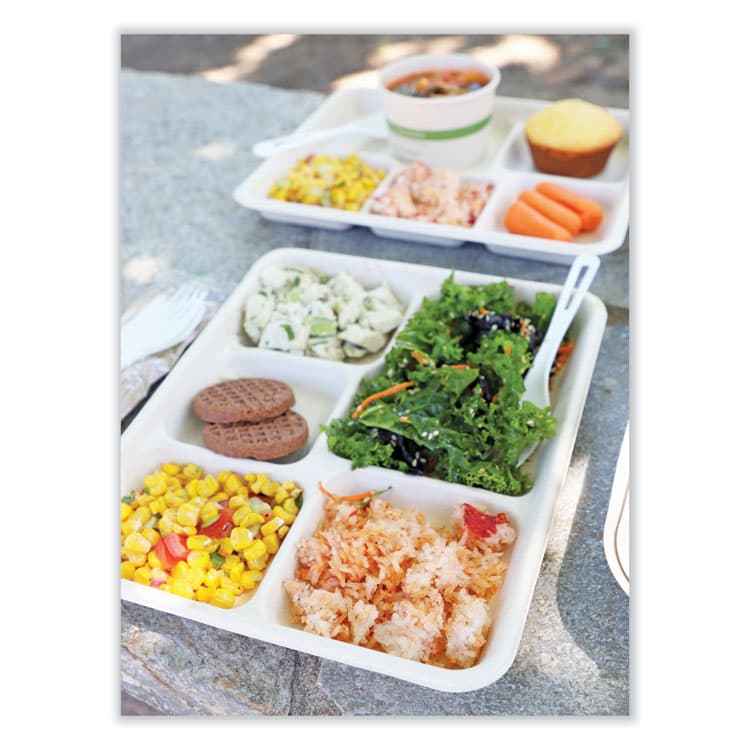 WORLD CENTRIC Fiber Foodservice Trays, 5 Compartments, 8.5 x 10.24 x 1.01, Natural, Paper, 400/Carton (WORTRSC5CLFS) thumbnail 3