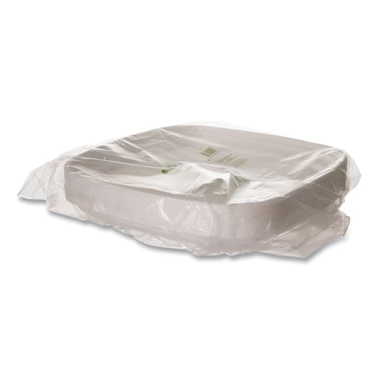 ECO-PRODUCTS,INC. Regalia Renewable Sugarcane Tray, 10.24 x 16.54, White, Sugarcane, 100/Carton (ECOEPSCTRS16NFA) thumbnail 3