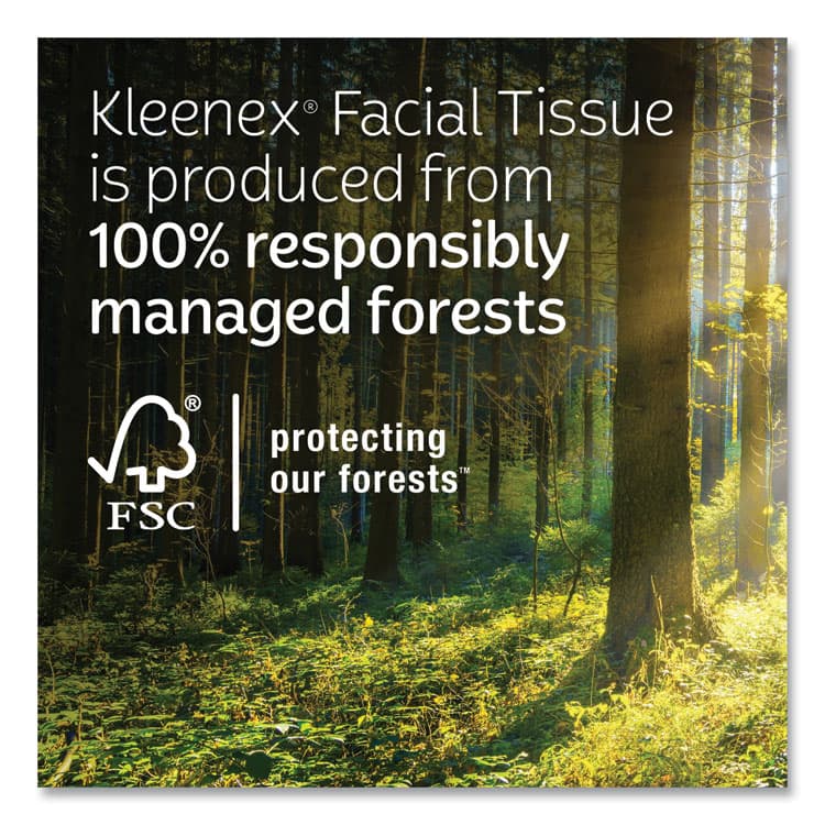KIMBERLY CLARK Trusted Care Facial Tissue, 2-Ply, White, 160 Sheets/Box, 3 Boxes/Pack, 12 Packs/Carton (KCM54303) thumbnail 3