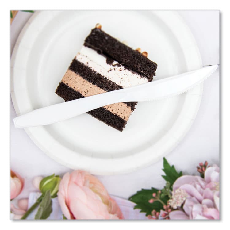 DART Reliance Mediumweight Cutlery, Standard Size, Knife, Plastic, White, 1,000/Carton (SCCRSWK) thumbnail 4