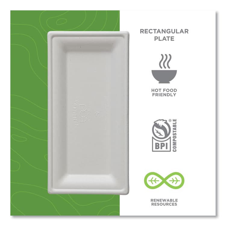 ECO-PRODUCTS,INC. Vanguard Renewable and Compostable Sugarcane Plates, 5 x 10, White, 500/Carton (ECOEPP024NFA) thumbnail 3