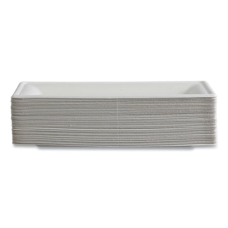 ECO-PRODUCTS,INC. Vanguard Renewable and Compostable Sugarcane Plates, 5 x 10, White, 500/Carton (ECOEPP024NFA) thumbnail 4
