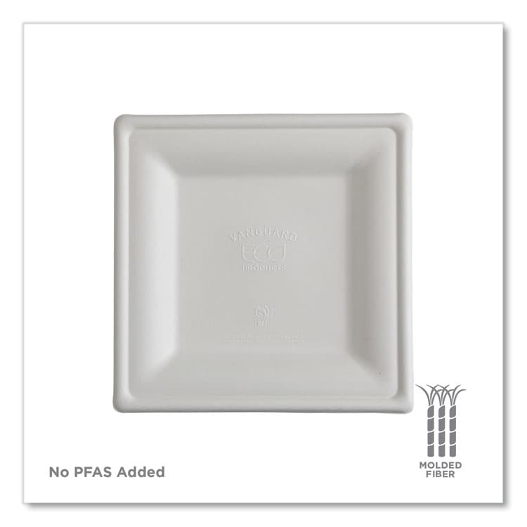 ECO-PRODUCTS,INC. Vanguard Renewable and Compostable Sugarcane Plates, 10 x 10, White, 250/Carton (ECOEPP023NFA) thumbnail 3