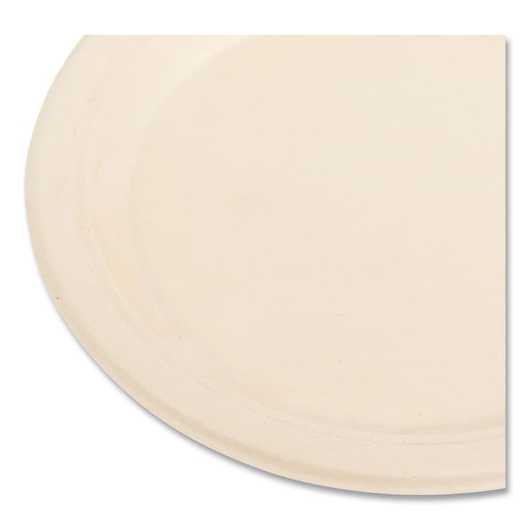 BOARDWALK Bagasse PFAS-Free Dinnerware, Plate, Sugarcane, 9" dia, Tan, 500/Carton (BWKPLATE9NPFA) thumbnail 4
