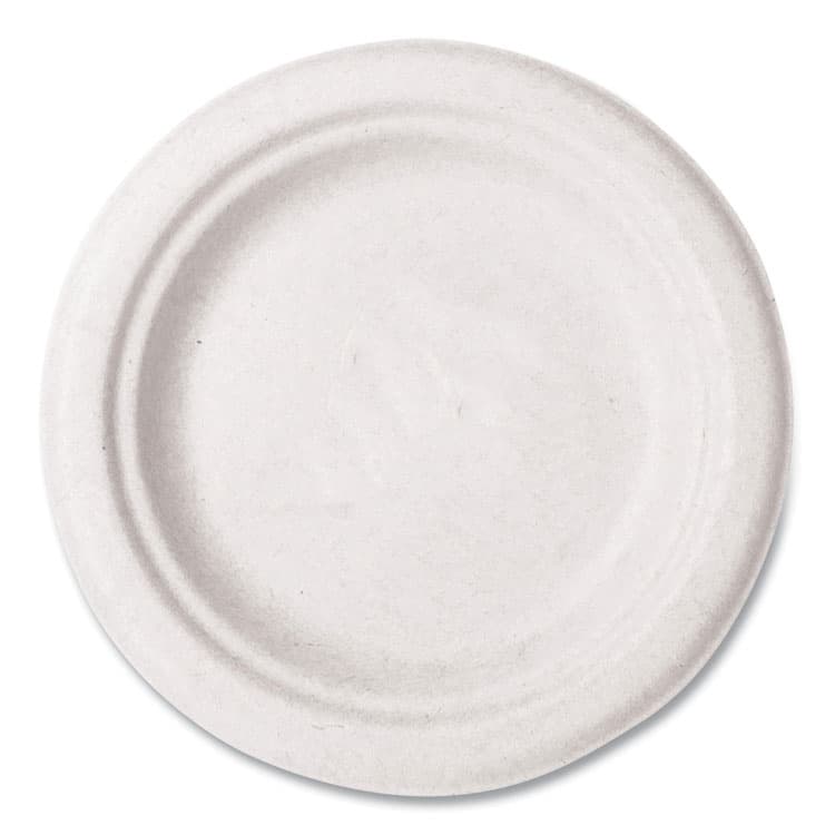 VEGWARE Nourish Molded Fiber Tableware, Compostable, Plate, Sugarcane, 6" dia, White, 1,000/Carton (VEGVWP016NFA)