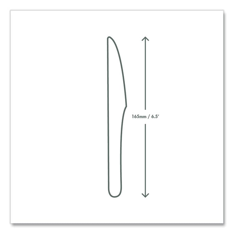 VEGWARE White CPLA Cutlery, General Purpose Knife, Plastic, White, 1,000/Carton (VEGVWKN65) thumbnail 3