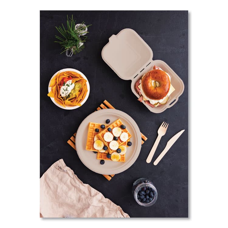 VEGWARE Nourish Molded Fiber Tableware, Compostable, Bowl, Sugarcane, 12 oz, White, 1,000/Carton (VEGVWBL12NFA) thumbnail 4