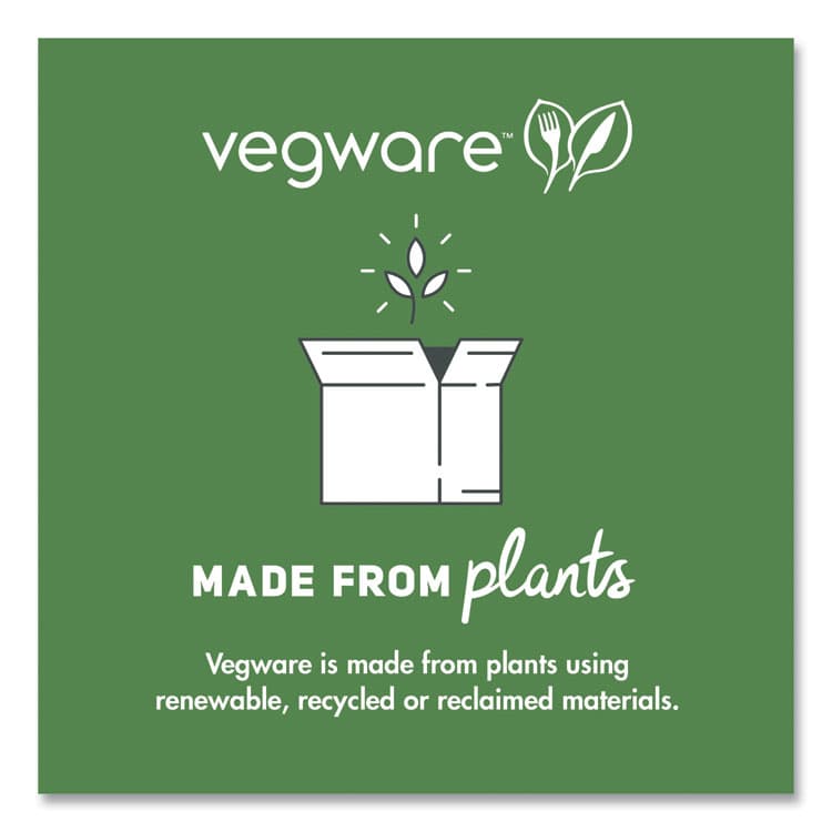 VEGWARE Nourish Molded Fiber Tableware, Compostable, Plate, Sugarcane, 6" dia, White, 1,000/Carton (VEGVWP016NFA) thumbnail 4