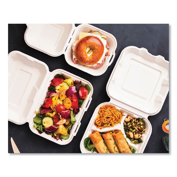 VEGWARE White Molded Fiber Clamshell Container, Compostable, 7.9 x 7.9 x 2.9, White, Sugarcane, 200/Carton (VEGWHBRG8HW) thumbnail 3