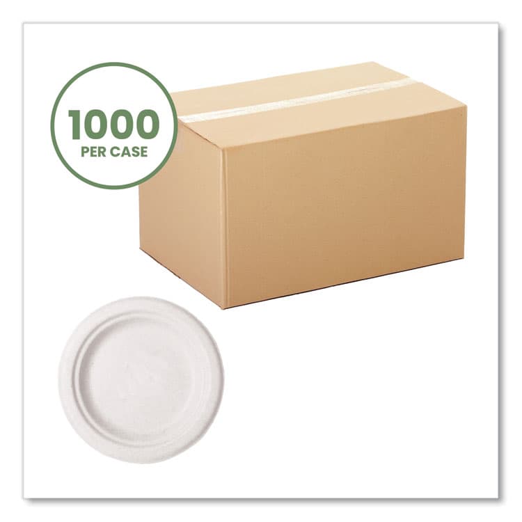 VEGWARE Nourish Molded Fiber Tableware, Compostable, Plate, Sugarcane, 6" dia, White, 1,000/Carton (VEGVWP016NFA) thumbnail 2