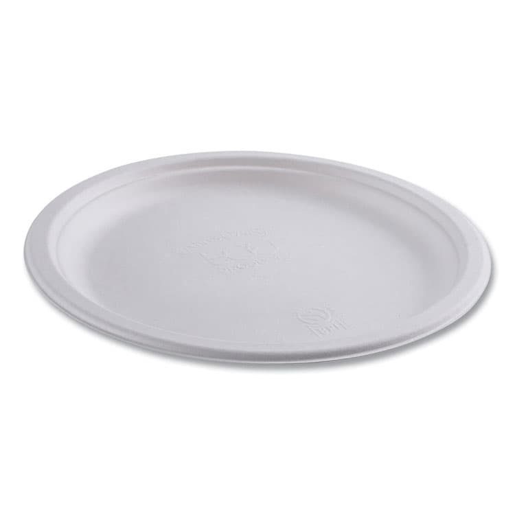 ECO-PRODUCTS,INC. Vanguard Renewable and Compostable Sugarcane Plates, 10" dia, White, 500/Carton (ECOEPP005NFA) thumbnail 4