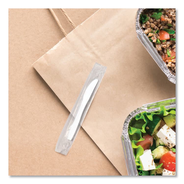 DART Regal Mediumweight Cutlery, Individually Wrapped, Knife, Plastic, White, 1,000/Carton (SCCMOW20007) thumbnail 3