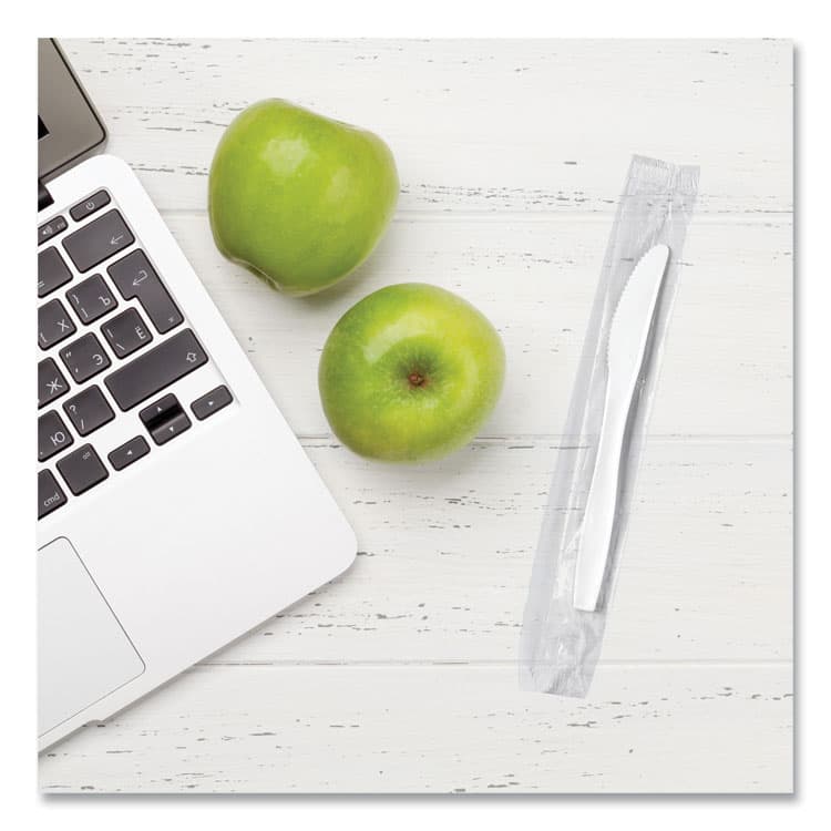 DART Regal Mediumweight Cutlery, Individually Wrapped, Knife, Plastic, White, 1,000/Carton (SCCMOW20007) thumbnail 4