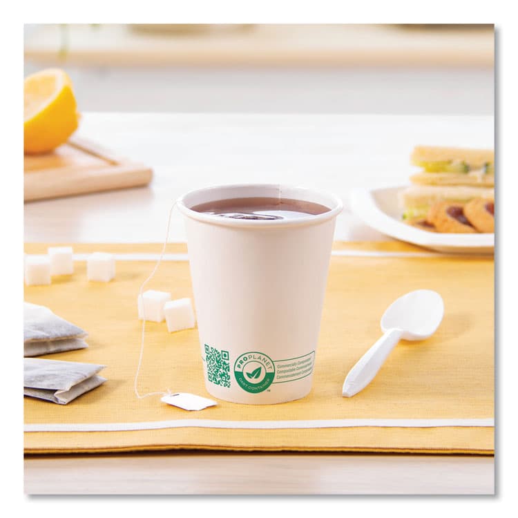 DART Compostable Paper Hot Cups, ProPlanet Seal, 8 oz, White/Green, 50/Pack (SCC378PLAPLATPK) thumbnail 4