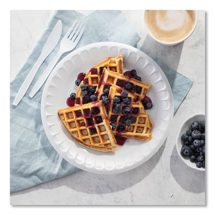 PACTIV EVERGREEN CORPORATION Placesetter Satin Non-Laminated Foam Dinnerware, Plate, 9" dia, White, 125/Pack, 4 Packs/Carton (PCT0TH10009) thumbnail 4