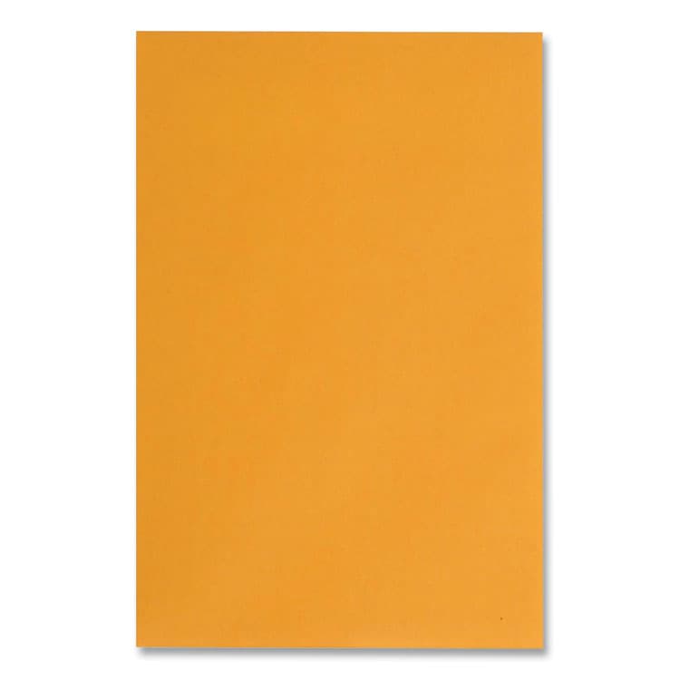 QUALITY PARK PRODUCTS Redi-Strip Catalog Envelope, #1, Cheese Blade Flap, Redi-Strip Adhesive Closure, 6 x 9, Brown Kraft, 100/Box (QUA44162) thumbnail 2