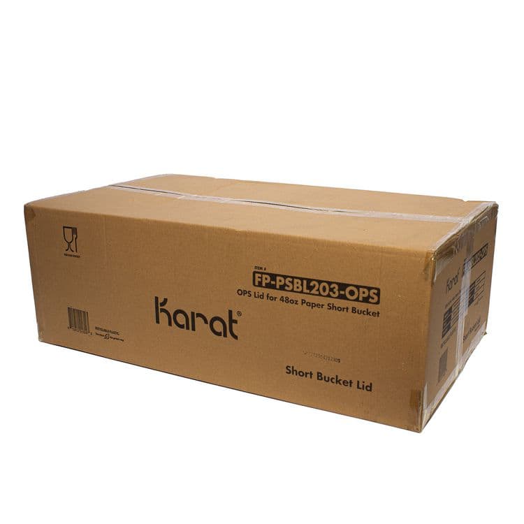 KARAT BY LOLLICUP Plastic Lid for Food Bucket, for 48 oz Buckets, Clear, Plastic, 270/Carton (KRTFPPSBL203OPS) thumbnail 3