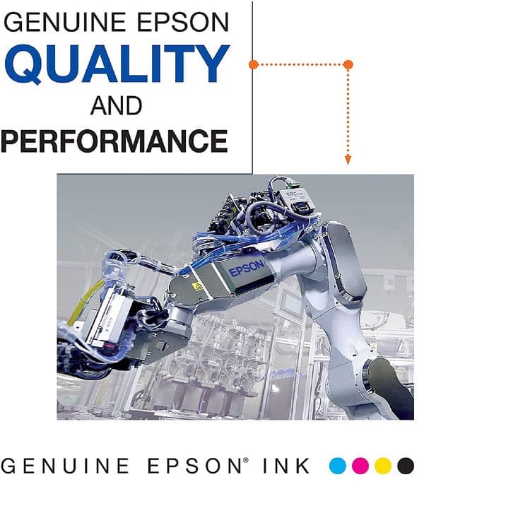 EPSON AMERICA, . T54V300 (T54V) UltraChrome HD Ink, Vivid Magenta (EPST54V300) thumbnail 4